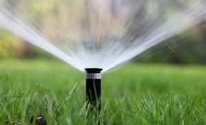 Reticulation Sprinklers, Nozzles & Risers