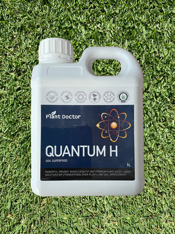 Plant Doctor Quantum H