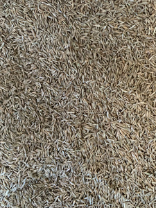 Perennial Rye Grass Seed per KG